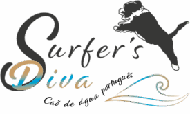 Surfers Diva